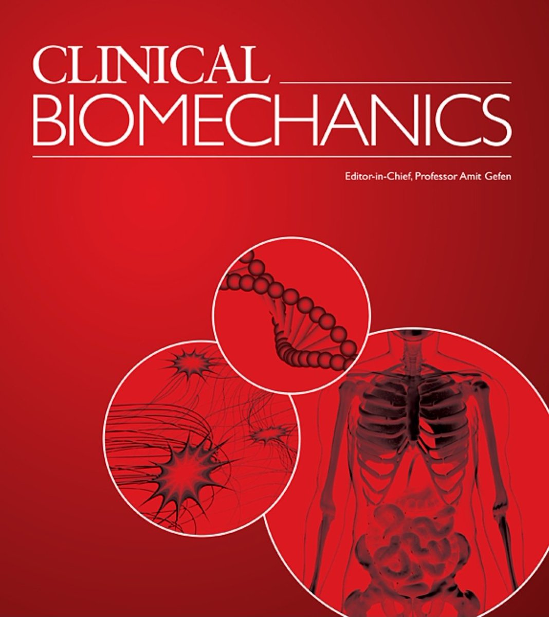 Amit Gefen tweet media