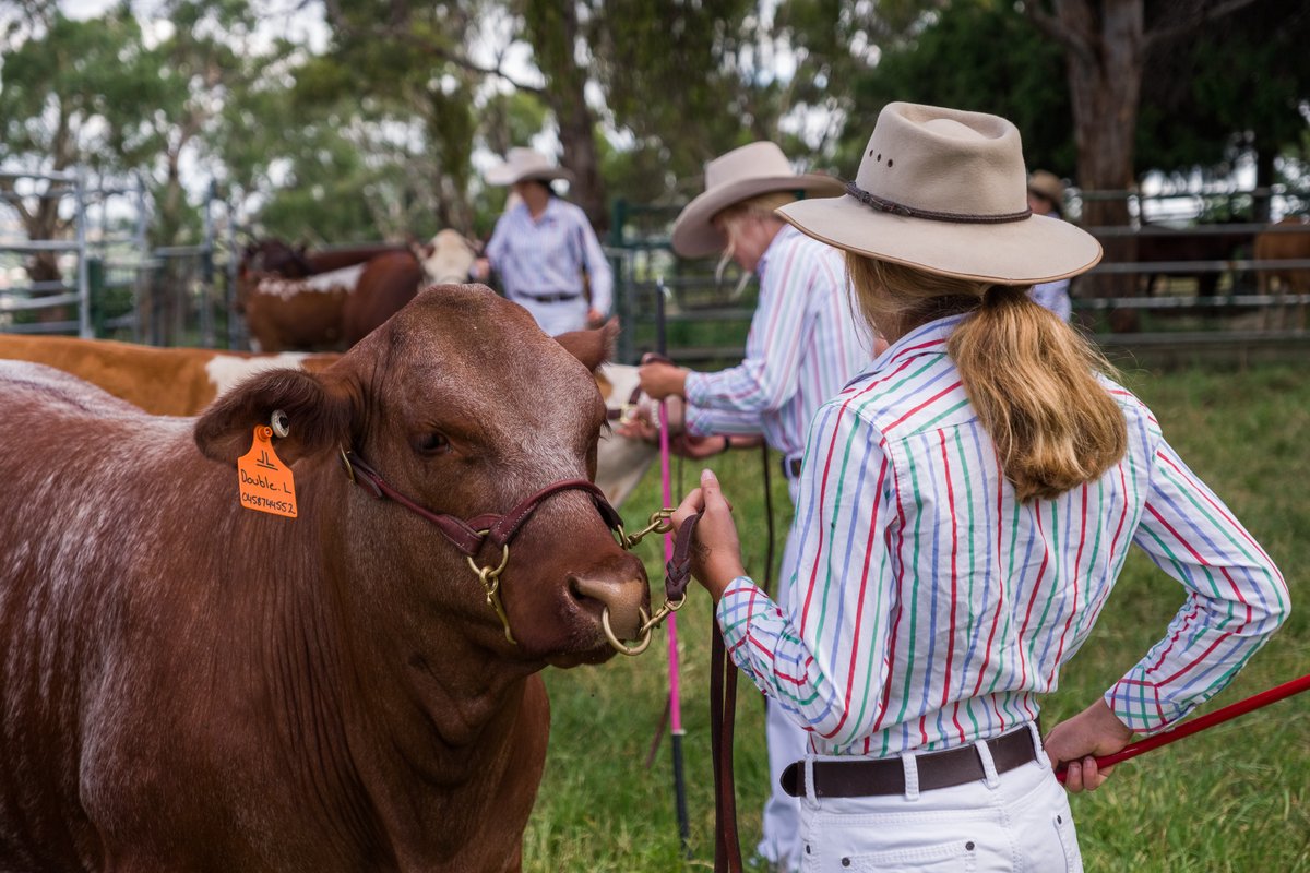 PLCArmidale's tweet image. The choice of activities for our Boarders is endless at PLC Armidale ... just like at home! Contact us to experience life as a Boarder in Term 3. We are regional; we are safe and we are experienced in girls' boarding and education. #joinus #wheregirlsflourish