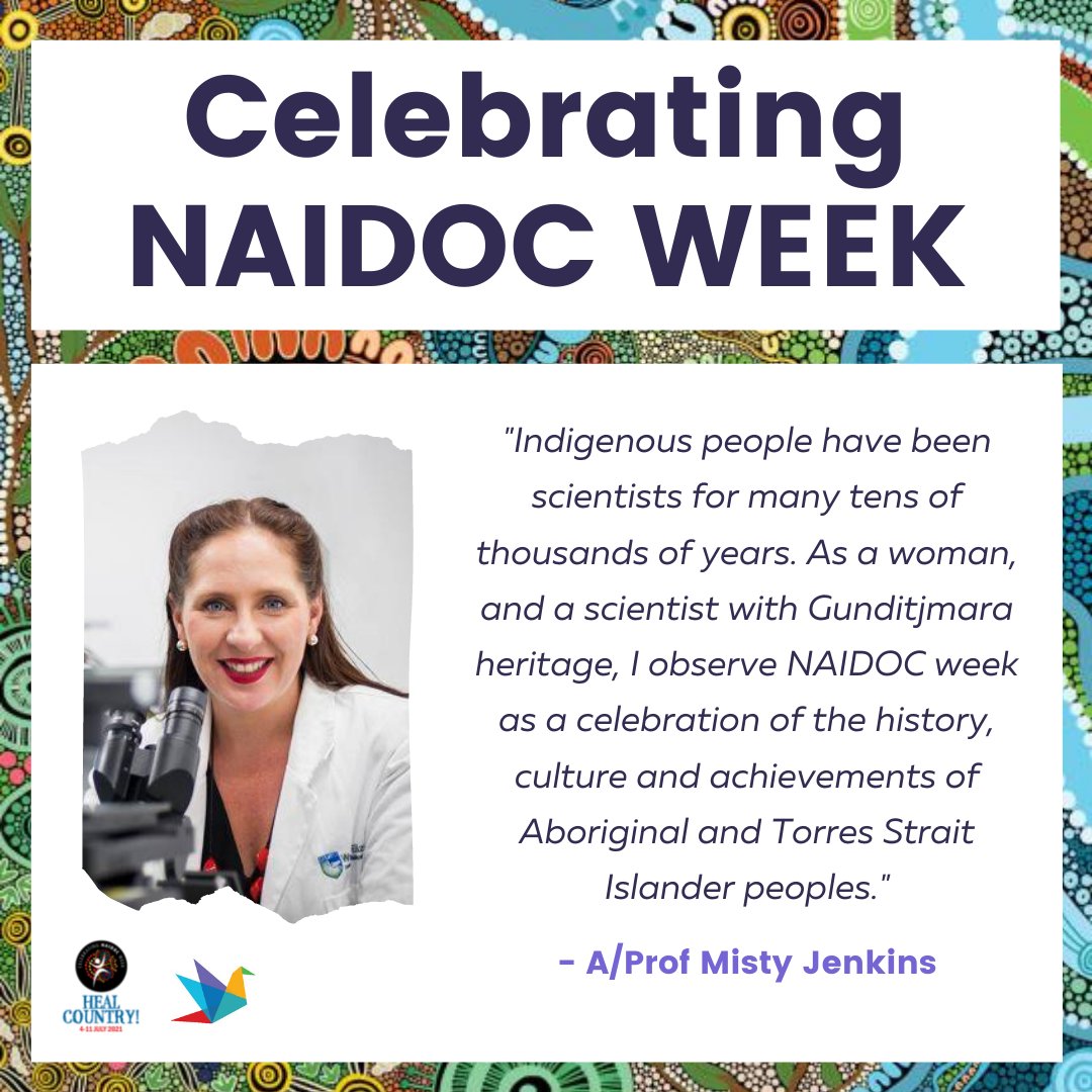 braincancer_AU's tweet image. For NAIDOC week 2021, we honour the incredible work of A/Prof @DrMistyJenkins at the Walter and Eliza Hall Institute of Medical Research. She was the first Indigenous Australian to attend Oxford and Cambridge Universities as a postdoctoral research fellow. 

#NAIDOC2021 #NAIDOC