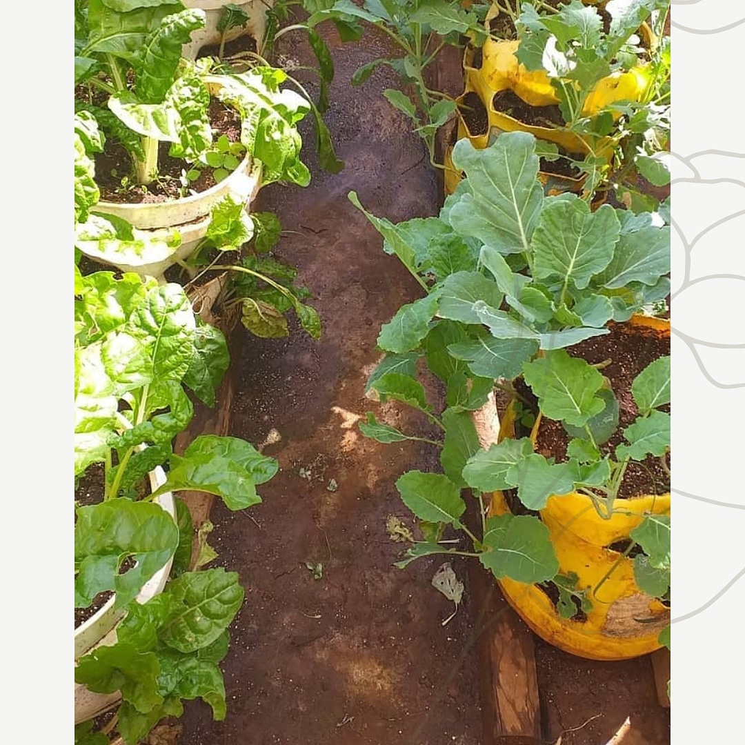 koigi_lizbeth's tweet photo. Mini vertical gardens from mitungis and buckets. #zerohunger #feedingthefuture #organicfarming #smallspacefarming #agriculture #outdoor #verticalgardens #sustainability #vermicomposting https://t.co/mEmhoixqz0