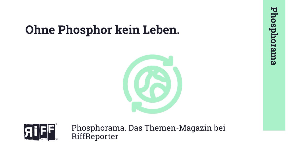 Im Phosphorama dreht sich alles um #Phosphor, doch die Kollegïnnen bei <a href="/riffreporter/">RiffReporter</a> covern noch viele andere wichtige Themen - #Klima #Wasser #Biodiversität …
Unterstütze unsere Arbeit mit einem Abo! Ab 8€ im Monat, werbefrei, jederzeit kündbar. Thx 😀!
riffreporter.de/de/abo-bestell…