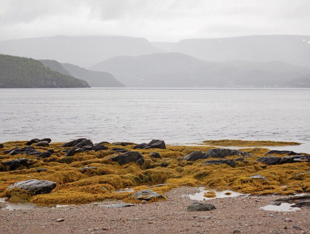 AndrewJ33664348's tweet photo. Our weather has been truly bizarre all year, and has kept this place very quiet. Yesterday it was over 30 degrees in parts of Labrador and today it is snowing. It amazes me that temperatures can change over 25 degrees (77F) in 24 hours. https://t.co/ln0nb2GHoF