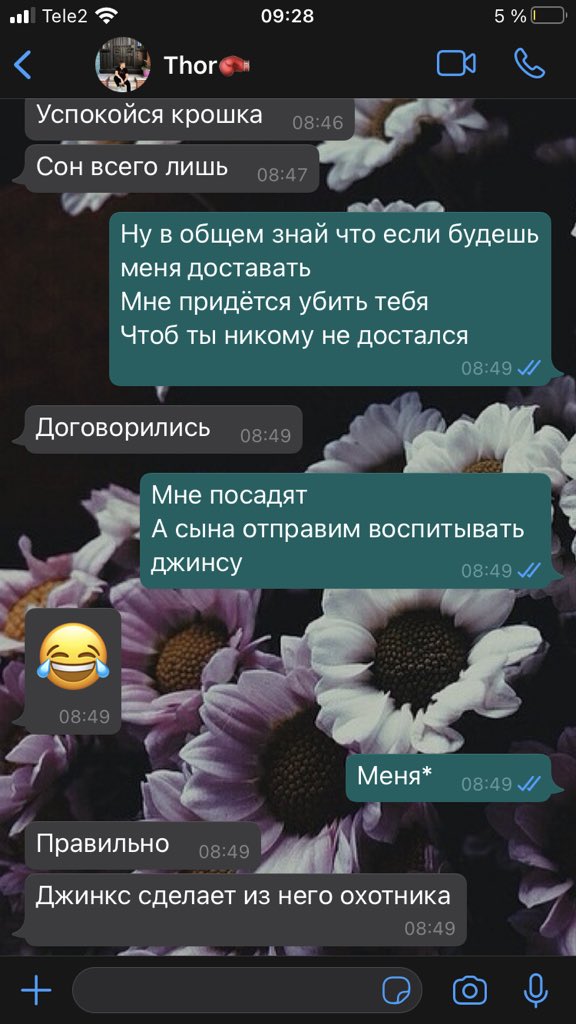 Karagyan's tweet photo. Утренние разговоры с мужем, когда всю ночь фигня снилась какая то..)) p.s. Джинкс это мой пушистый жирный кот. https://t.co/WNa34Z4pFY