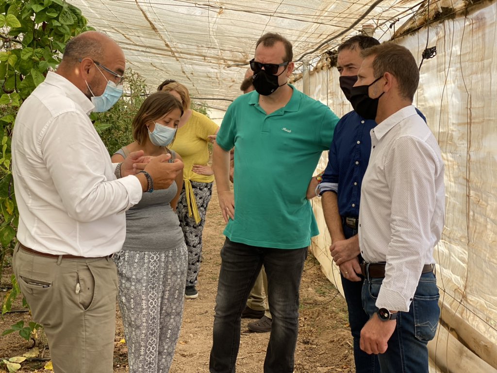 imida_murcia's tweet photo. Trabajando para dar respuesta a las demandas del sector agrícola y la alta cocina murciana, con la recuperación de especies tradicionales 🌶️🍆🍅conservadas en nuestro Banco de Germoplasma #BAGERIM
¡Continuamos!
#MejoraCultivosHortícolas
@RM_Agua
@pabloglacabana
📷@TPacheco_Ayto https://t.co/QaqYOr6J4V