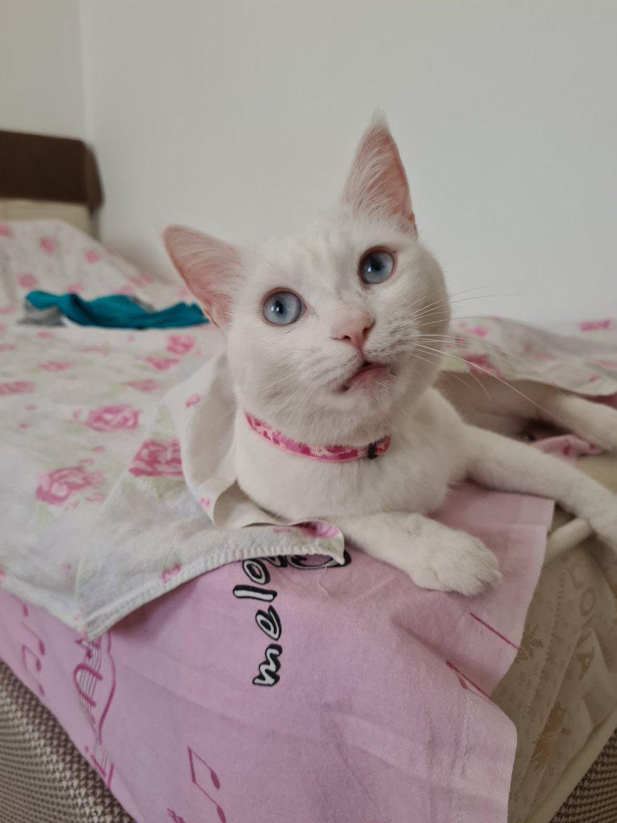 Dokanmayın bana uyanamadım