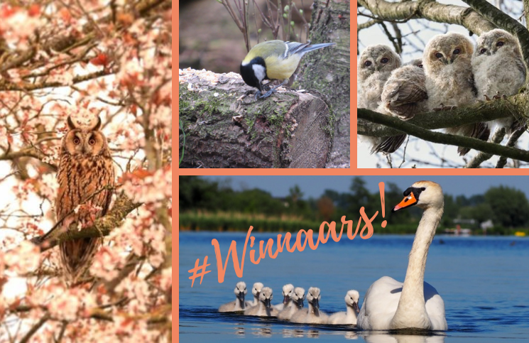 De winnaars zijn bekend 🥳 van onze fotowedstrijd 'Lente'. Van harte gefeliciteerd Gio van Bernebeek, Esther van Ee, Hilde Karsten en Sandra Versluis en veel plezier met jullie prijs. Doe mee met onze nieuwe #fotowedstrijd 'Waterplezier'! ringfoto.nl/fotowedstrijd-…