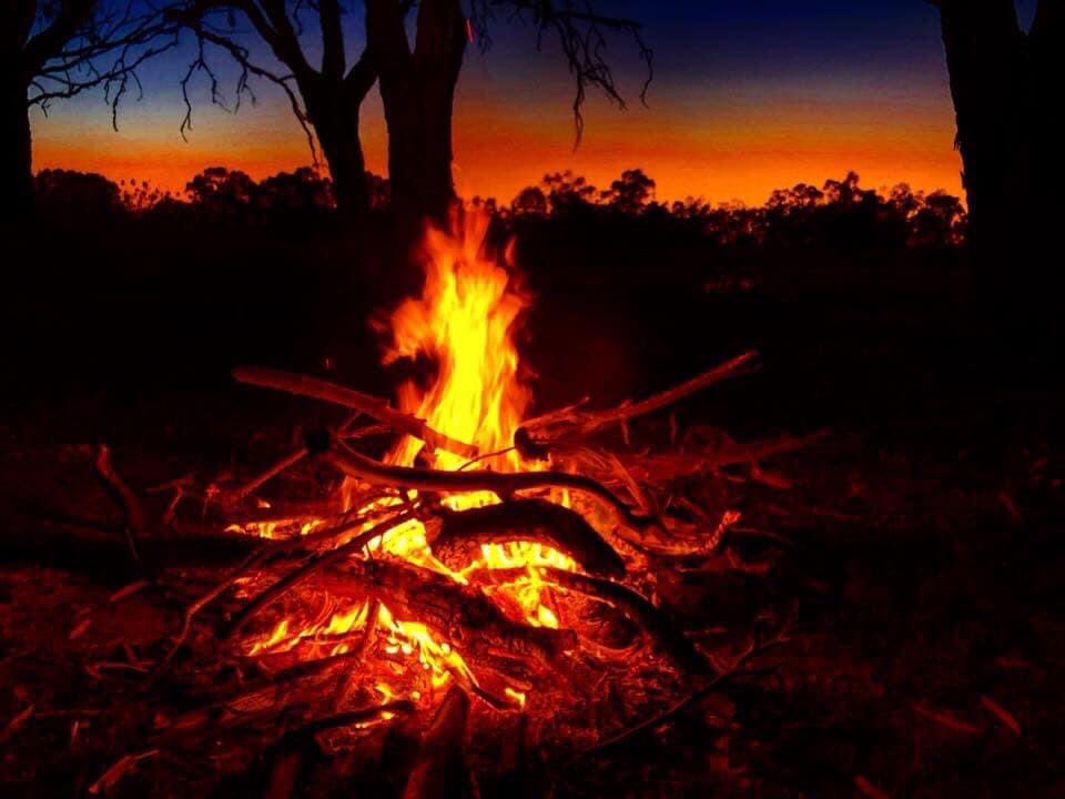 IndigenousX's tweet image. Heal Country! 🔥 naidoc.org.au #NAIDOCWeek #NAIDOC2021  #NAIDOC 🖤💛❤️💙🤍💚 👣 🌿 📸 @ngarra_murray