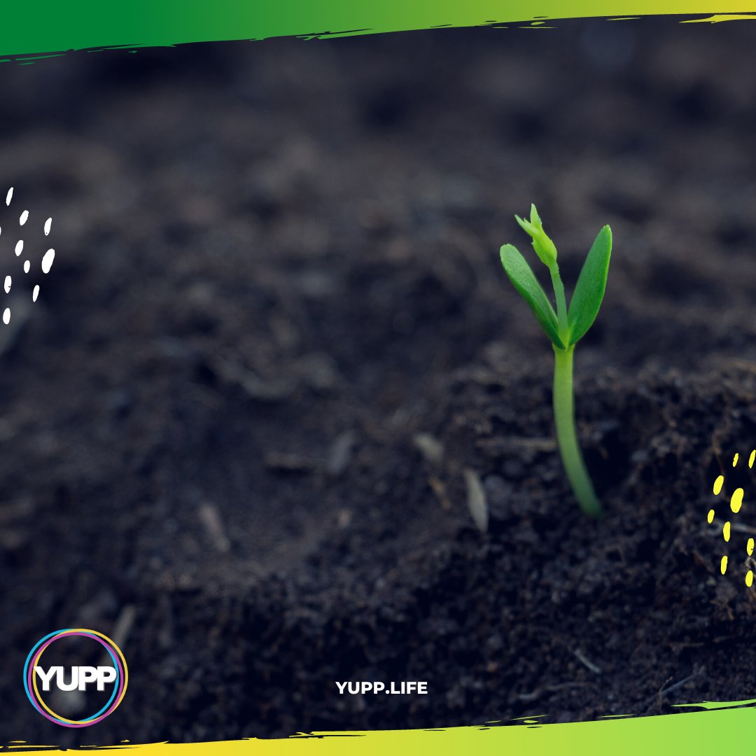 yupplife's tweet photo. Are entrepreneurs born or are they made? Possibly born, possibly made, or maybe even BOTH! Let us know your entrepreneurial story, or one that inspires you, in the comments below...#EntreThursdays https://t.co/oSXR5Nb9IV