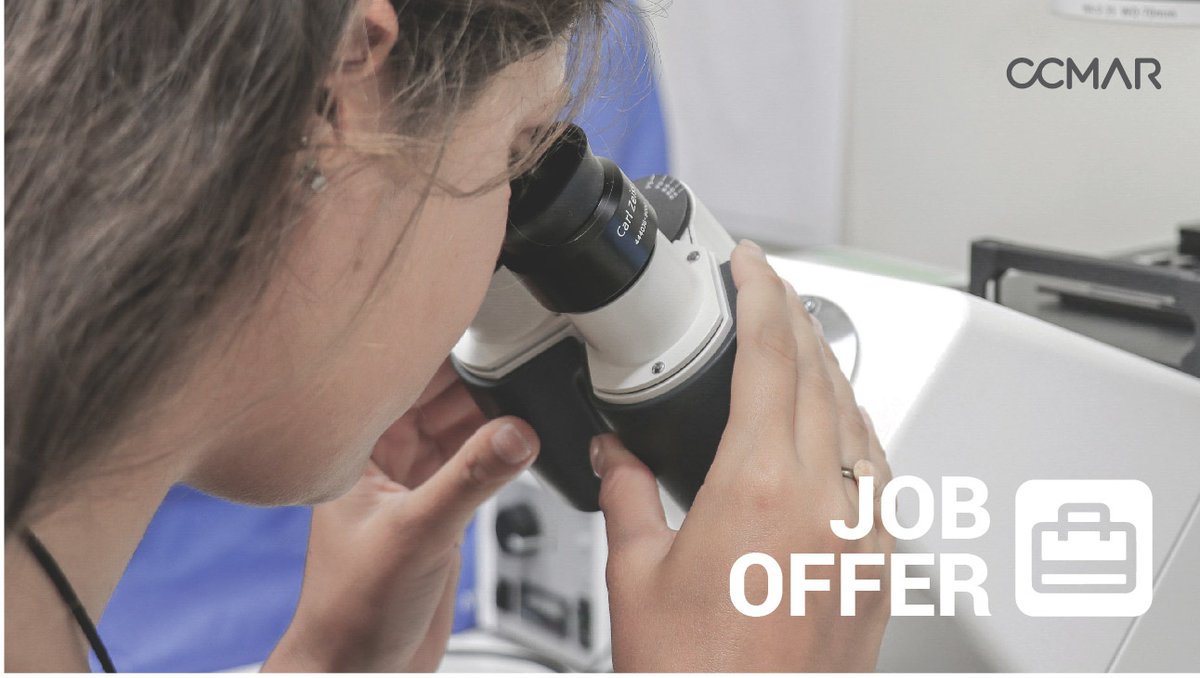 CienciasDoMar's tweet photo. Join our team! Position for a Post-Doctoral Fellowship within the research project: SMARTCELL, in the scientific field of Biological Sciences.
Applications open until July 26.

#BiologicalSciences #cell_lines #cryopreservation  #biotechnology 

https://t.co/YE8e1t3A8i https://t.co/dLJq4icoQs