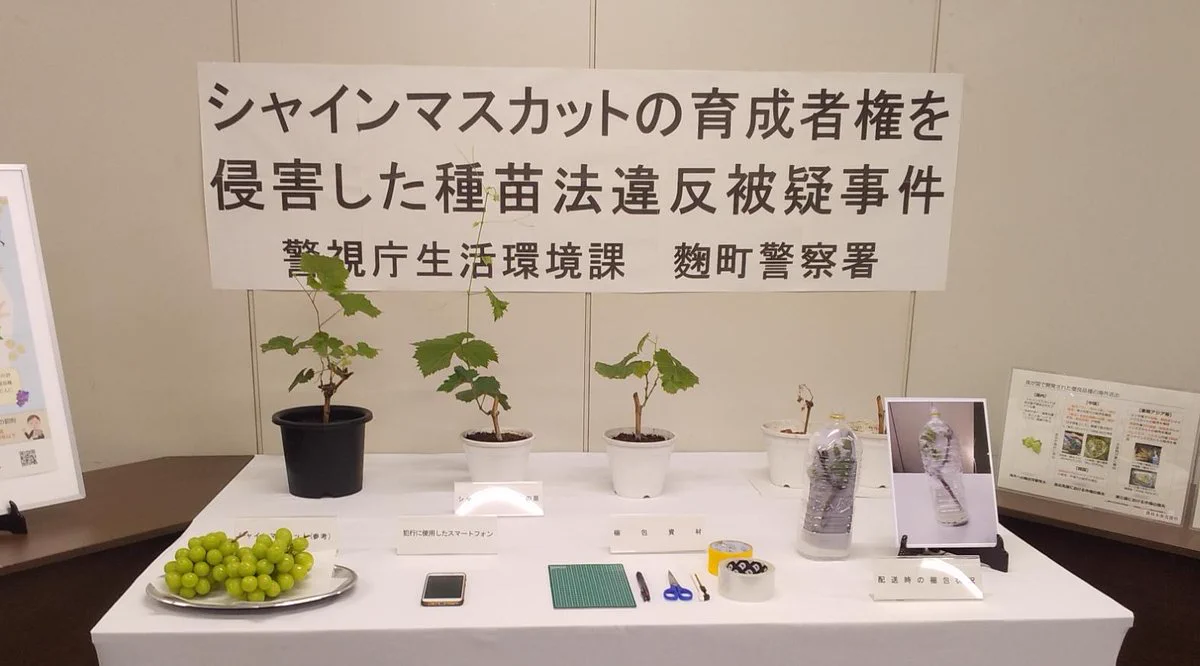 警視庁生活安全部 on X: 