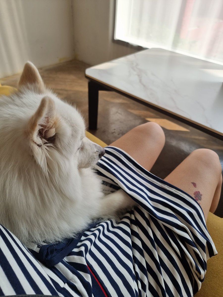 R08124177's tweet photo. 봉봉이 오늘 좀 내꺼같은뎅ㅋㅋㅋㅋㅋ? 
나쁜손 좀 보솤ㅋㅋㅋㅋㅋㅋㅌㅋㅋㅋㅋㅋ😆

#무즐라 #봉봉이 #부커 #커플만남 #스왑 #네토 https://t.co/sClnY2HZKx
