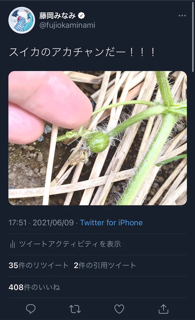大切に育てたスイカを収穫して切ってみたら…赤いころがほとんどなかった…