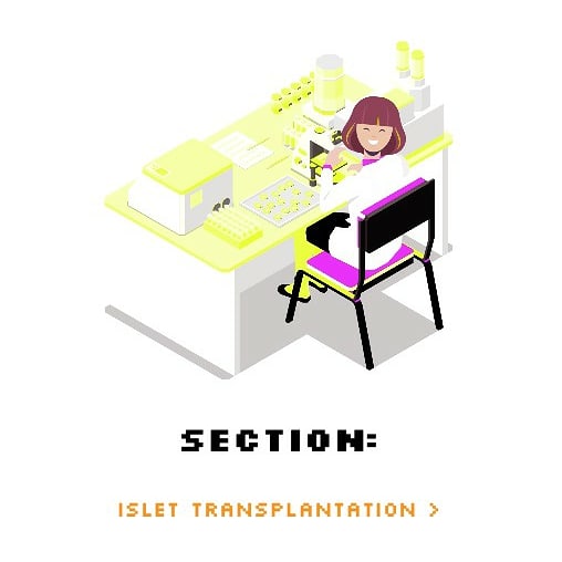 An aspect of my research into islet transplantation has been turned into a cute little game for the Royal Society #SummerScience Exhibition! And I have been turned into a cute little animation! Check out the content at wattlab.org/rss2021/islet-… 
#scicomm