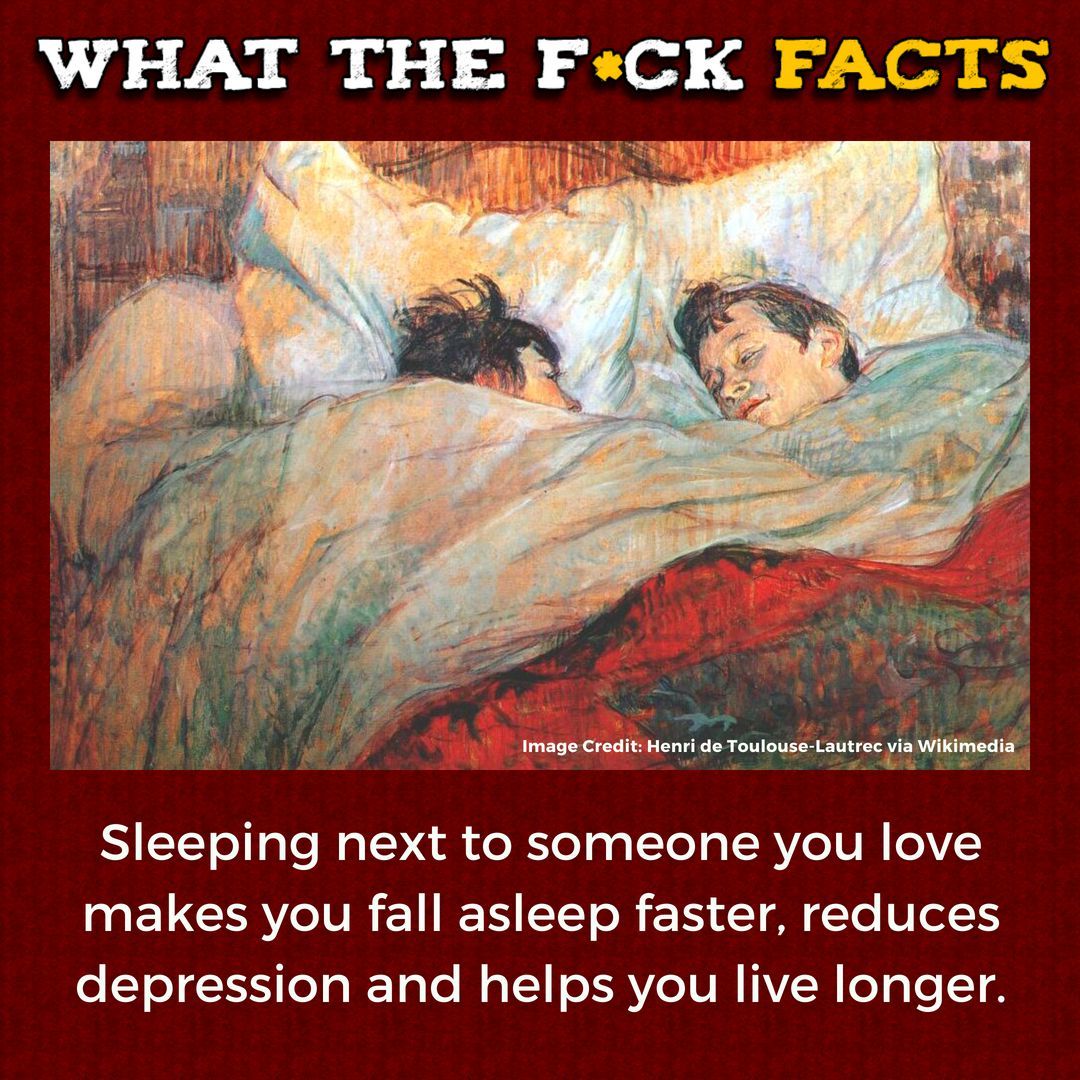 What The F*** Facts (@whattheffacts) on Twitter photo 