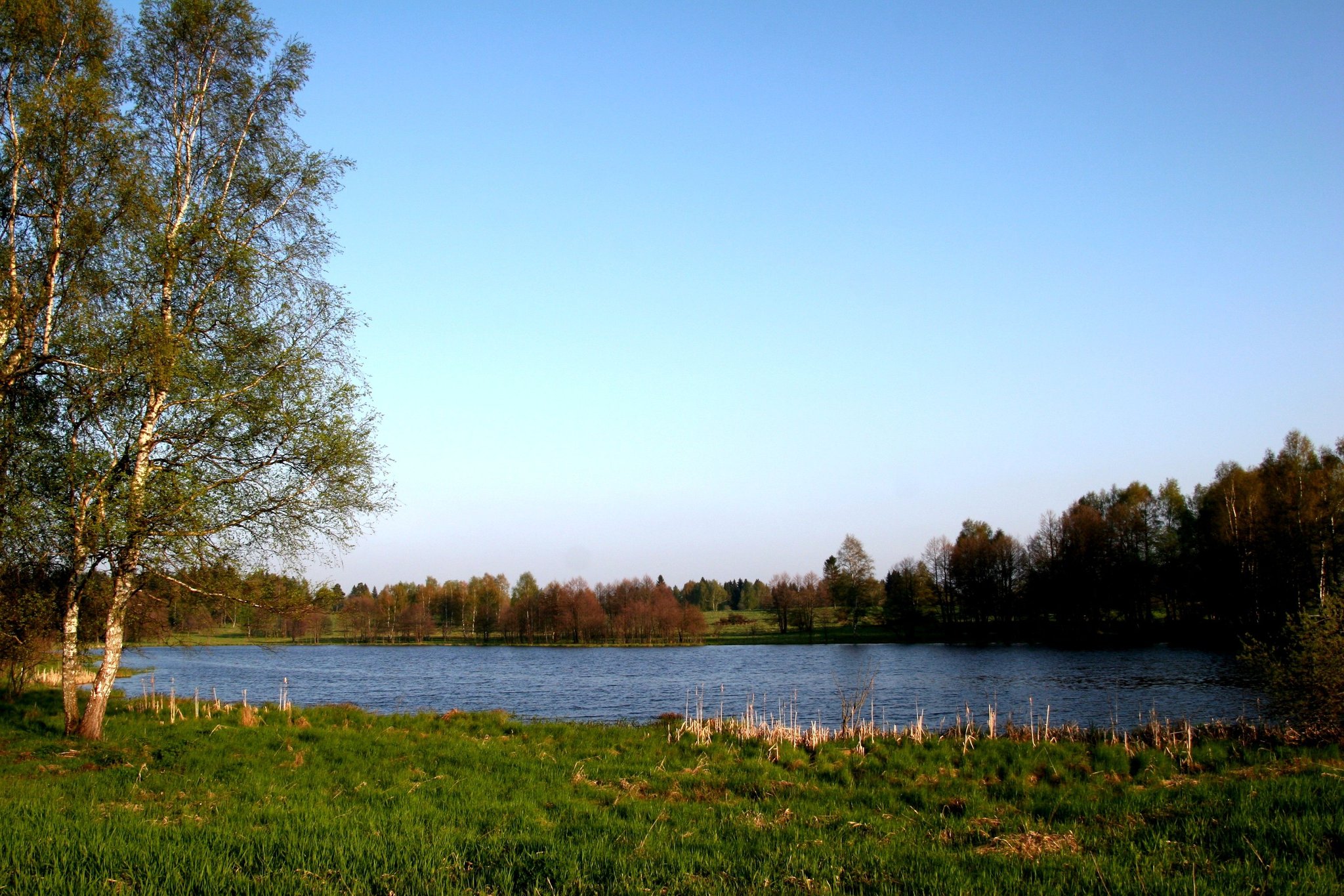 Michael Bauer on Twitter "StilleWasser Der 3,5 ha große Passauerteich