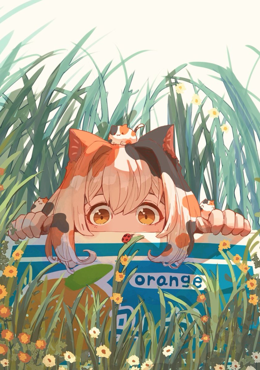 「箱入り猫🐈🍊 」|おいも🍠のイラスト