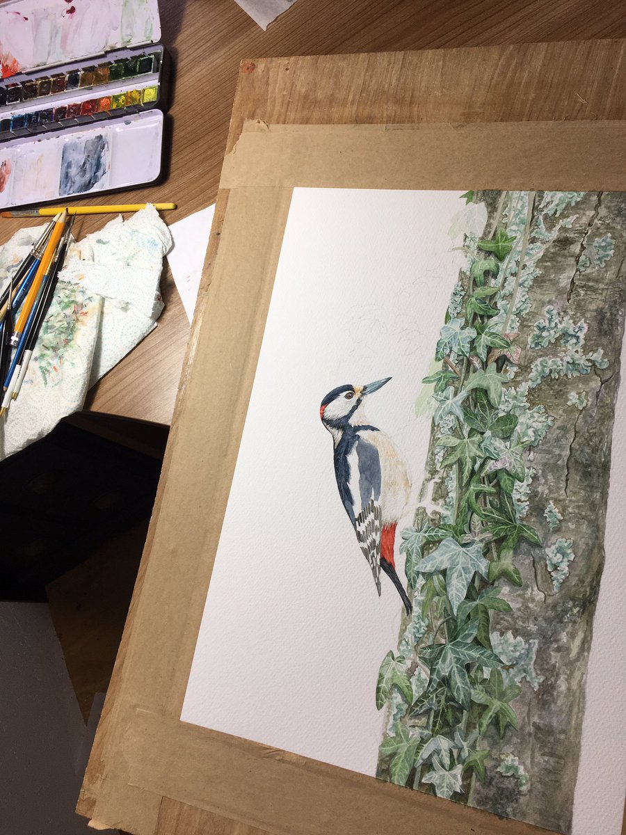 Hello everyone! I hope you’re all well.
 
Unfortunately I had to step back from Twitter due to exams and stress but I’m now back! 

Thank you to everyone who’s stuck with me and given me support. 

18 today so I thought this was the right time to get back to doing what I love!