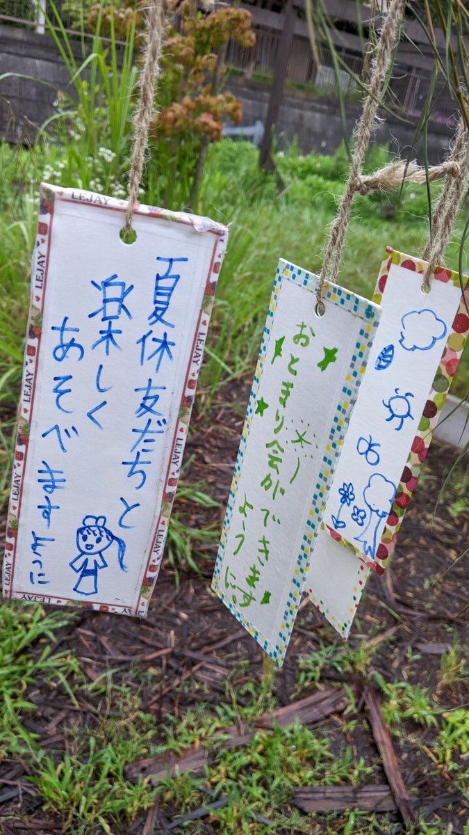 kanadokoro's tweet photo. 【今日のカナドコロ】
七夕企画終了いたしました。たくさんのご利用ありがとうございました🎋⭐️

そして、雨の湿気によってたくさんキノコが生えていました🍄ぜひ見に来てみてください！（食べないようにだけ気をつけてね）

#カナドコロ #新百合ヶ丘 #金程 #広場 #endolab #七夕 https://t.co/0E6eeTKQai