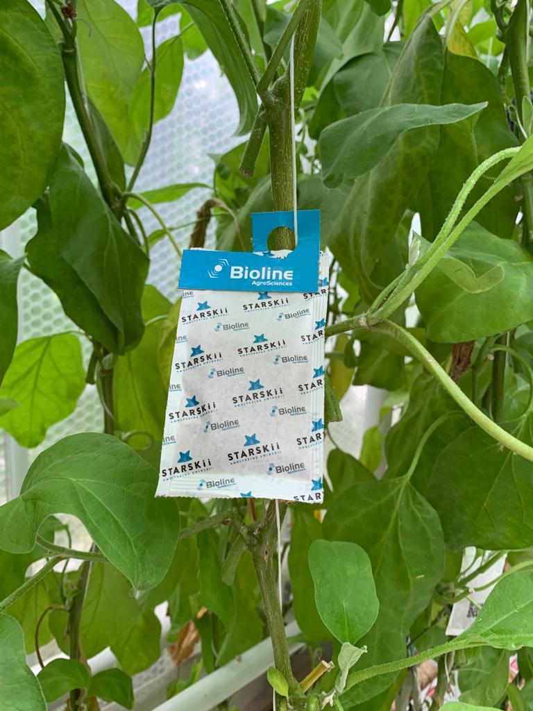 Bioline AgroSciences International tweet media