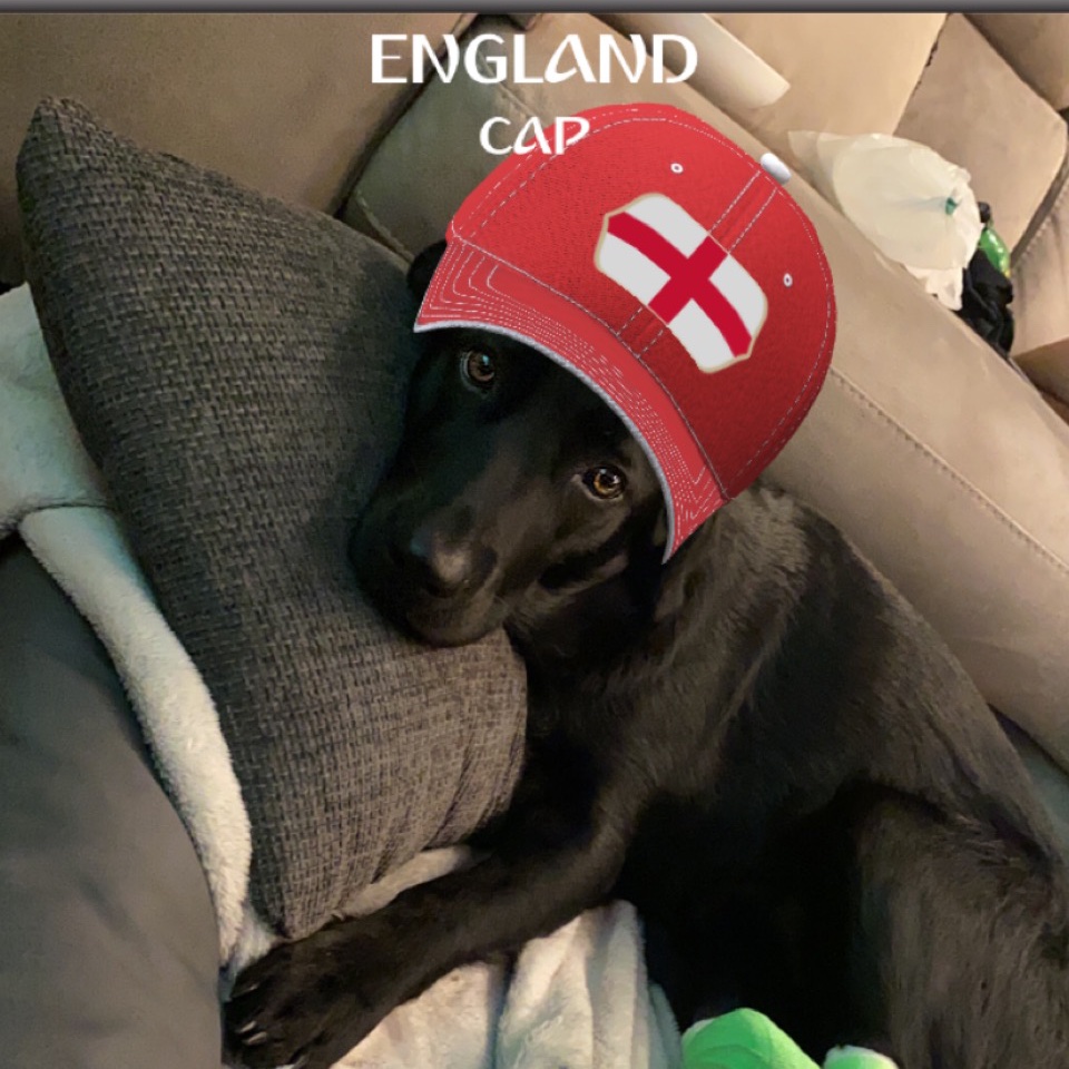 Kylas first tweet had to be … ITS COMING HOME 🏴󠁧󠁢󠁥󠁮󠁧󠁿🏴󠁧󠁢󠁥󠁮󠁧󠁿 #england #ItsComingHome #dogsoftwitter #blacklabs #labrador