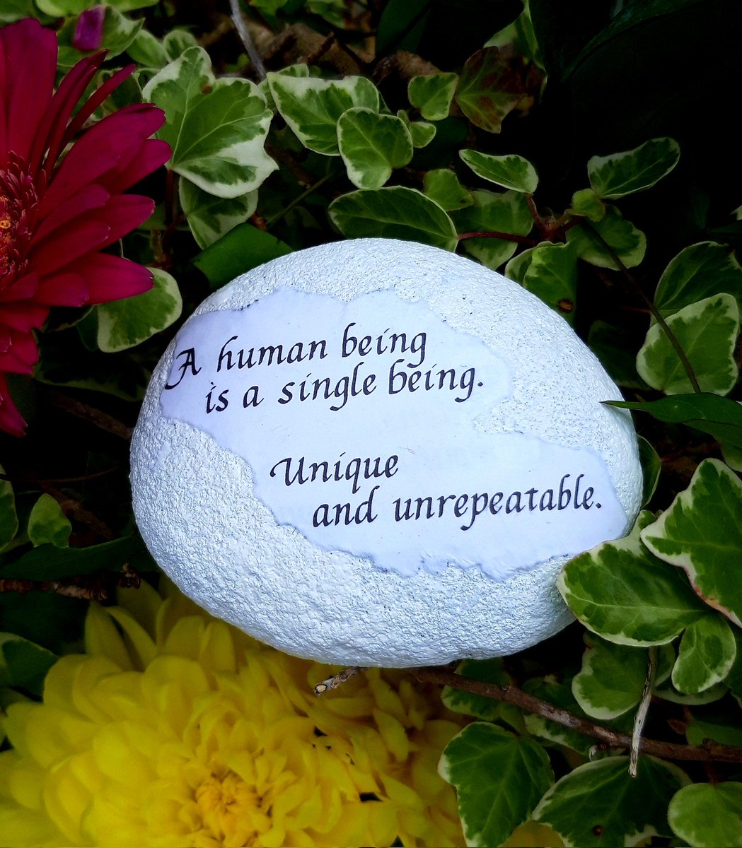 Milo_Hill_'s tweet photo. #mentalhealth #bipolar #positive #affirmations #quotes #NaturePhotography #KindnessMatters #thursdayvibes #flowers #pebbles #Wisdom 

A little project I've been working on. Keeping my mind active, and filling my head with positivity. I'm loving it 😊 https://t.co/zDTWJQMuFn