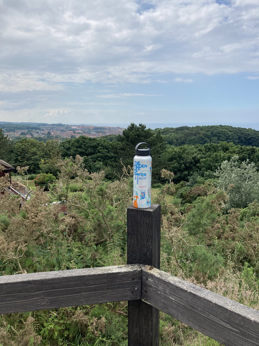 #mydiamondbottle taking in the wonderful view from #cromercclub lookout diamondresorts @diamomdresorts