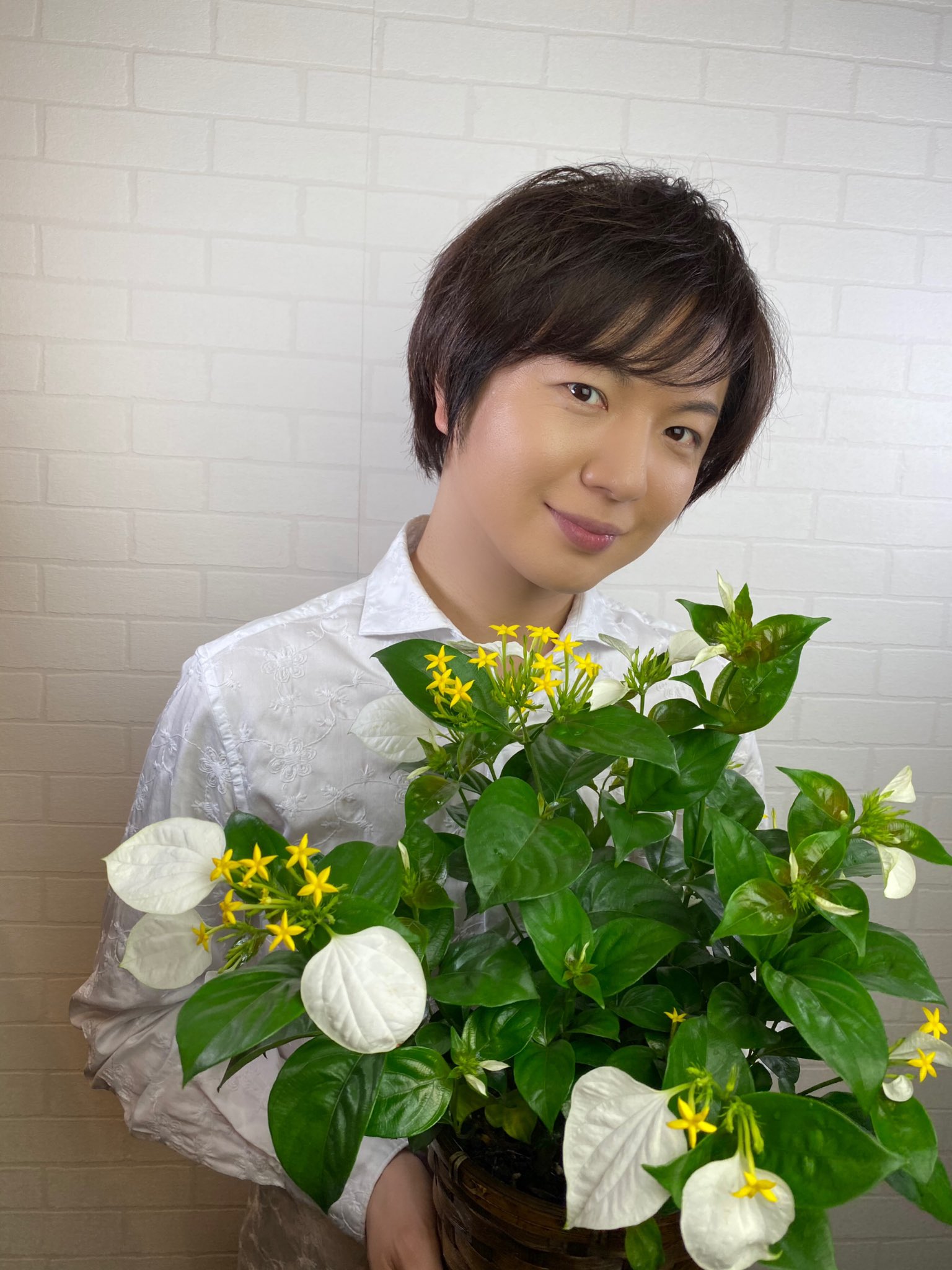 竹島宏スタッフ 公式 Pa Twitter コンロンカ 花言葉は 神話 緑と白と黄色 皆さんを守る パワーになりますように 今日も１日お疲れ様でした ひろネット 花便り 絆 T Co F0qryjsqah Twitter