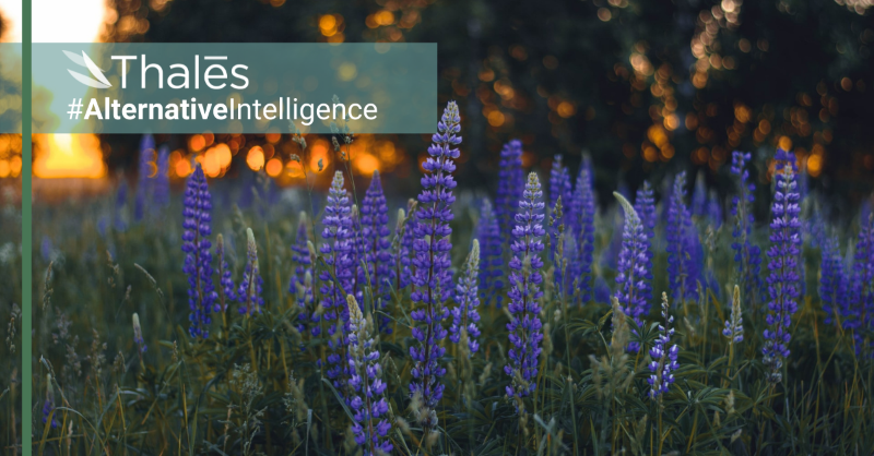ThalesTrading's tweet photo. Via @Alpha_Week: Corbin Capital Partners' Pinehurst Institutional received the most clicks from @eVestment's investor and consultant database in June. #AlternativeIntelligence
Subscribe to receive the latest #hedgefund news in your inbox: https://t.co/13oLJ5iZU2