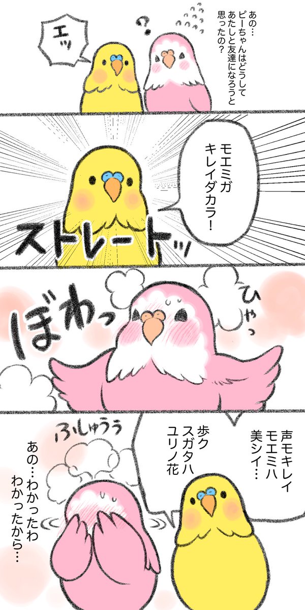 マンガ「友達になった理由」

#アキクサインコ #セキセイインコ 