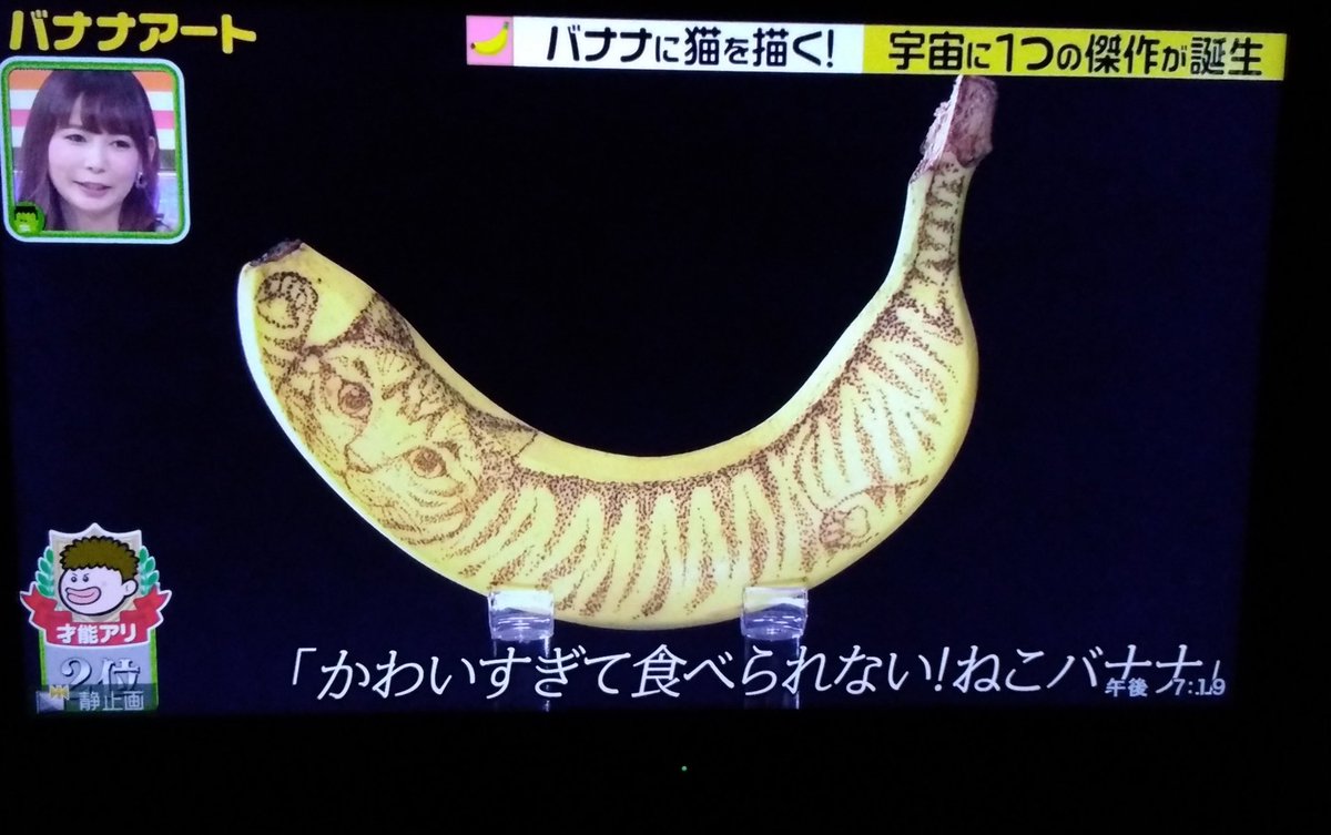 W Pよしq プレバトのバナナアート観てるけど しょこたんの猫バナナさすがやな ただ くうちゃんのダーハマいじりは今回も強かった T Co 57gkqksi Twitter