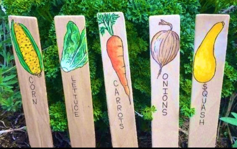 As we’re coming into summer we wanted to share this awesome #DIY #recycled plant sign idea that you could do with #family/#friends! 

Whether you’re doing it at one of our #allotments or in your #garden, why not #reuse old ice-lolly sticks to create name tags for your #vegpatch?