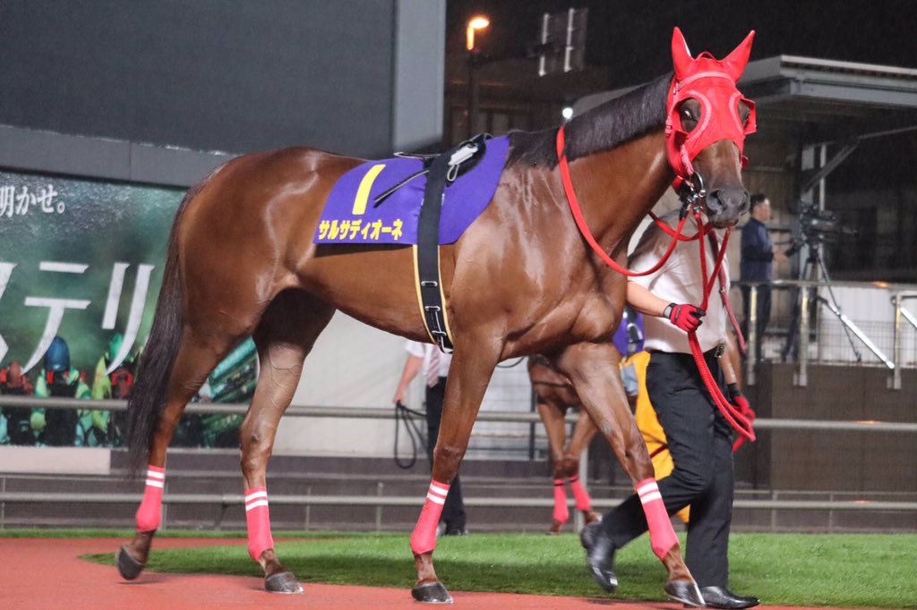 地方競馬全国協会 Nar 公式 ただいまパドック周回中 本日川崎競馬 場で 第25回スパーキングレディーカップが行われます 現在の1番人気はテオレーマ サルサディオーネ リネンファッション フェアリーポルカが続いています 10発走予定です