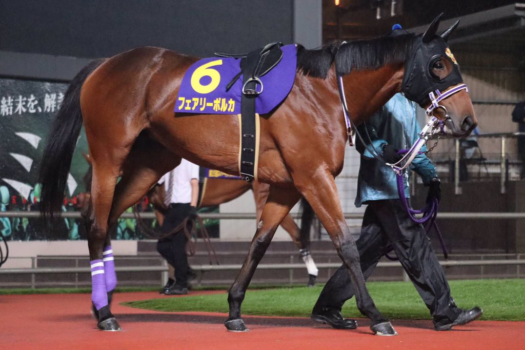 地方競馬全国協会 Nar 公式 ただいまパドック周回中 本日川崎競馬 場で 第25回スパーキングレディーカップが行われます 現在の1番人気はテオレーマ サルサディオーネ リネンファッション フェアリーポルカが続いています 10発走予定です