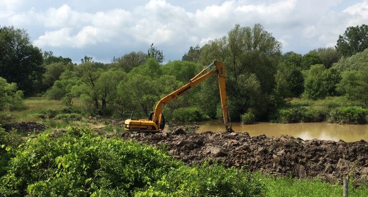 LPWBR's tweet photo. Brian Boyd & his son Greg collaborated with ALUS Norfolk & Long Point Region Conservation Authority on stewardship activites on their farms such as creating wetlands and seeding native plants. Go to our website to learn about projects like this in the LPWF! #PriorityPlaceThursday https://t.co/fQgUn1VDiU