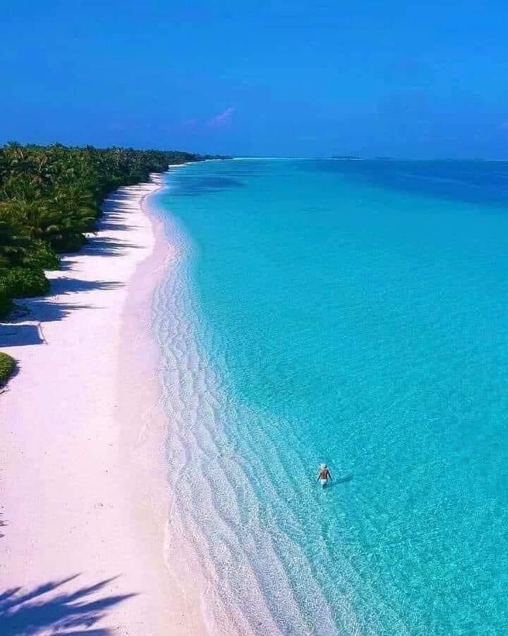 Beautiful Zanzibar Beach, Tanzania 🇹🇿