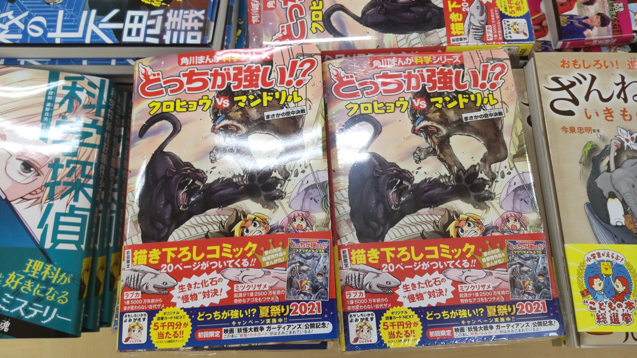 どっちが強いクロヒョウvsマンドリル Twitter Search Twitter