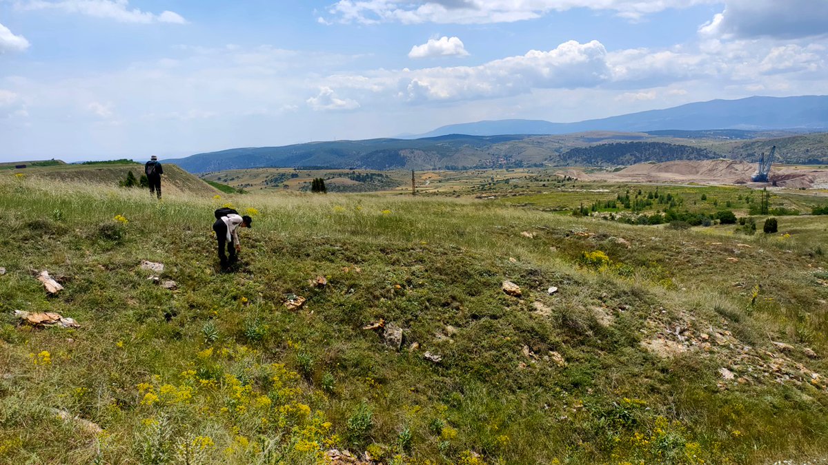 #PaleoPerşembe
Kütahya’da bulunan Seyitömer Höyüğü çevresinde Kütahya Müzesi Müdürlüğü tarafından gerçekleştirilen araştırmalarda Paleolitik Çağ’a ait çok sayıda yontmataş alet tespit edildi.

#arkeolojihaber #arkeoloji #DahaFazlaArkeoloji