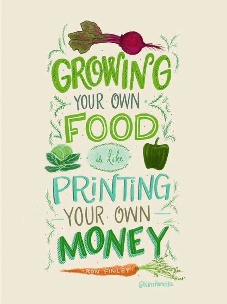 kirstyMTait's tweet image. Exciting it’s a way of land management which needs MORE people on the land not less-creating livelihood opps for #newentrants in our rural and urban communities. Helping to tackle #ruraldepopulation &amp;amp; urban access to affordable, healthy food #fringefarming #wellbeingeconomy