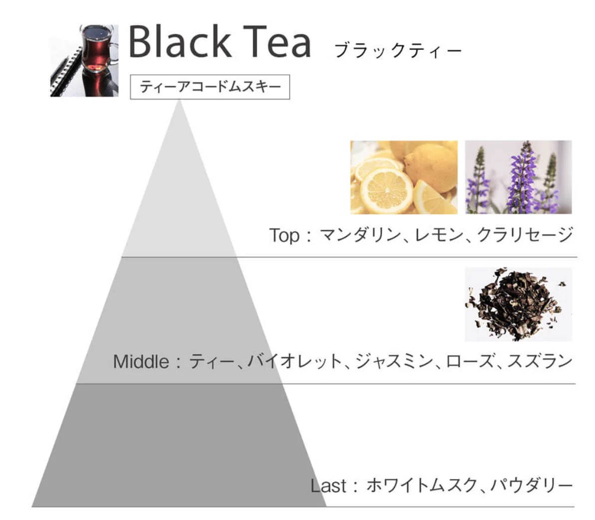ほっと一息つけるような紅茶の香り！あたたかさや包容力を感じる紅茶香水に注目！