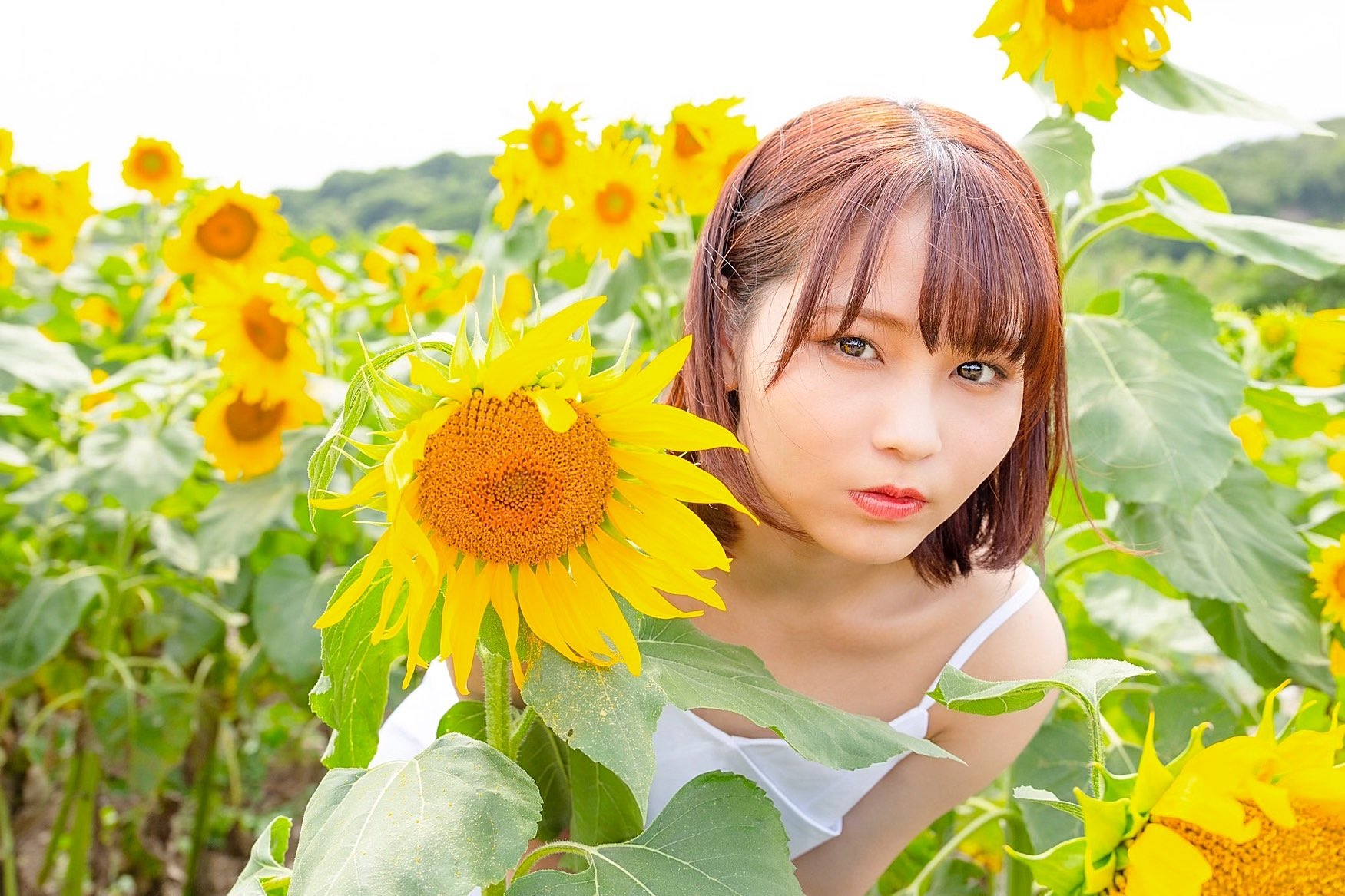 تويتر 大場 花菜 على تويتر ひまわり畑に白いワンピース ウィークエンドシトロン T Co Sqgtgcg9fz
