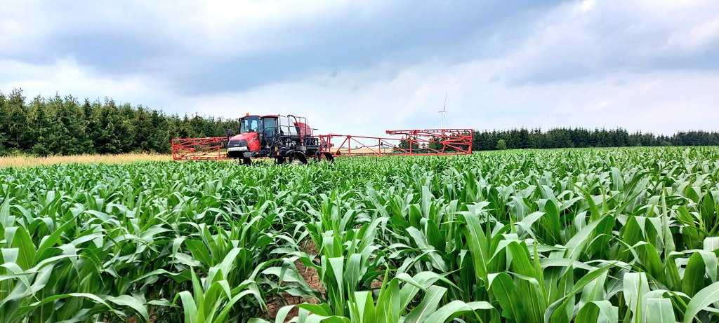 Got on some of the good stuff on this awesome field of <a href="/Maizex/">Maizex Seeds</a> #Trecepta MZ4151TRE first time Y-dropping with our own equipment really excited about the potential of the corn in #Haldimand this year!