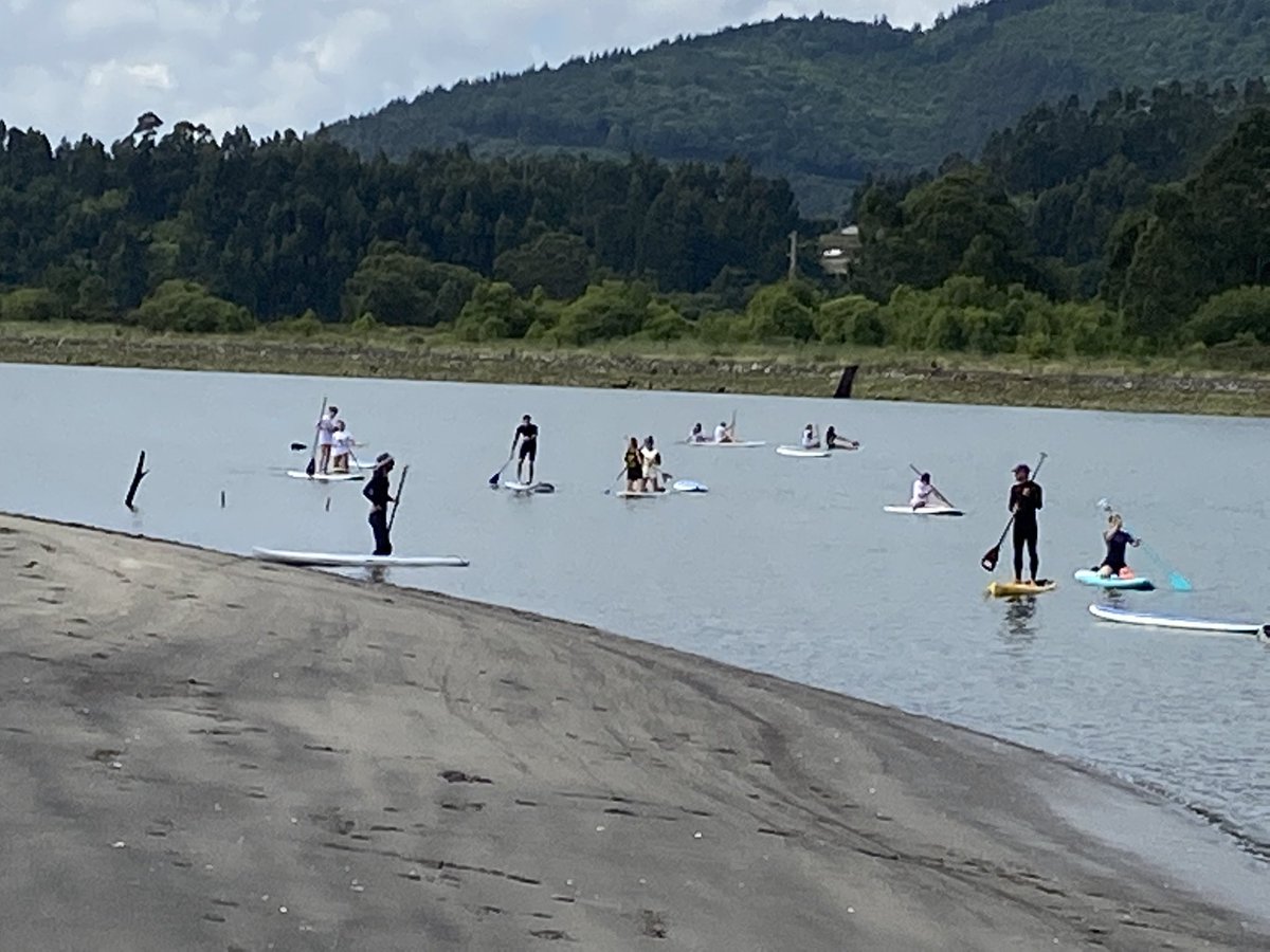 II SURFBASKET CAMP tweet media