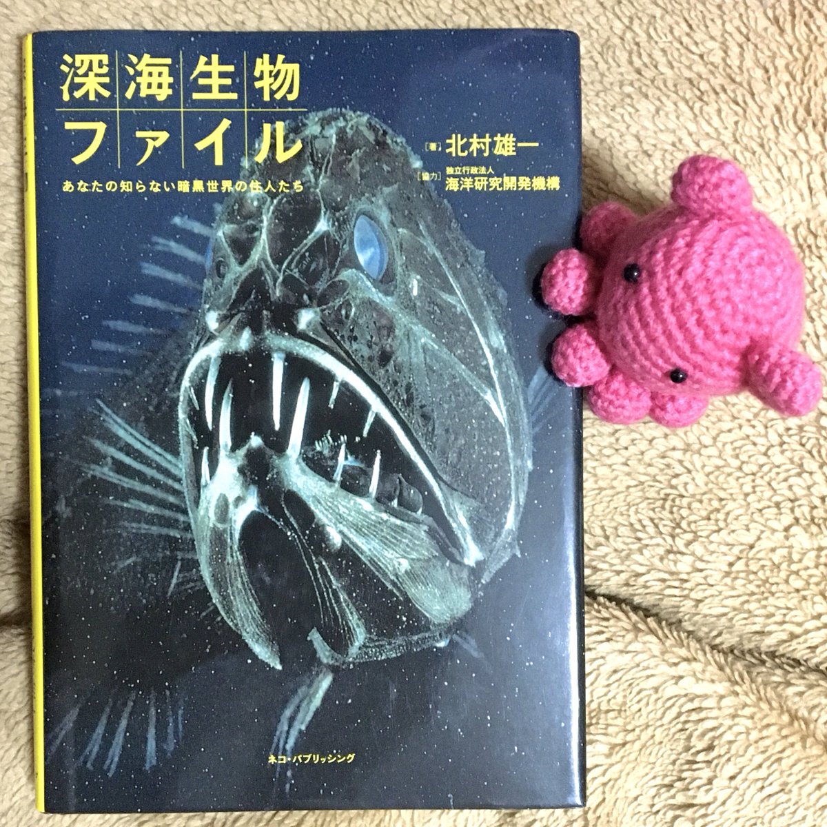 深海生物の本です。
図書館で読んで、良い本だったので通販で購入しました。
メンダコも載っています。
#本 #book #深海生物 #deepseacreatures #メンダコ #Opisthoteuthis