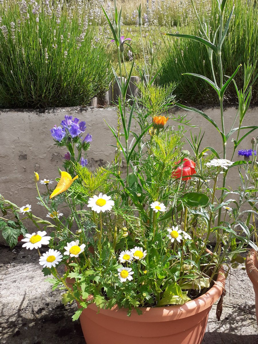 Jon Keepen tweet media