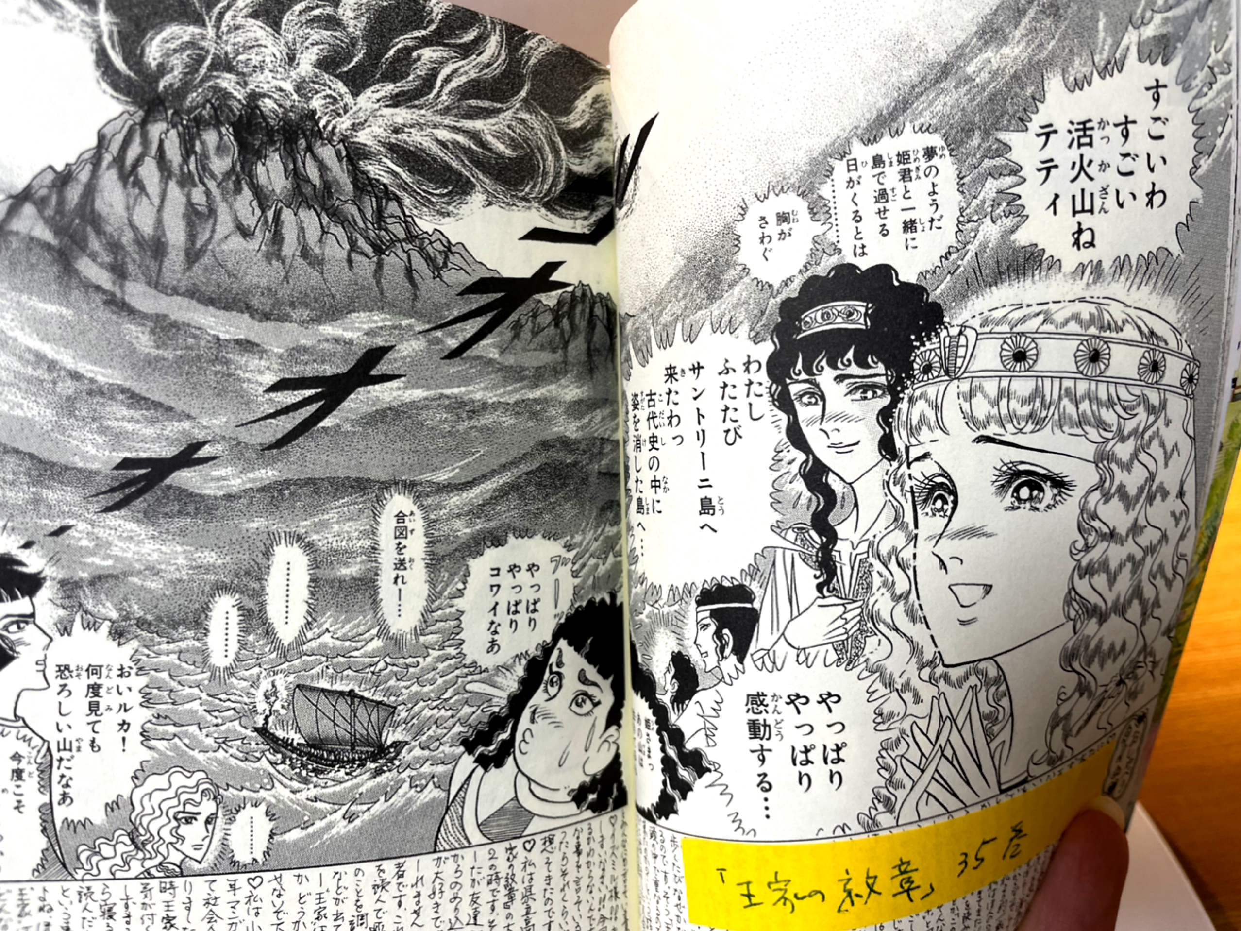Amazon.co.jp: 王家の紋章 (第42巻) (プリンセスコミックス
