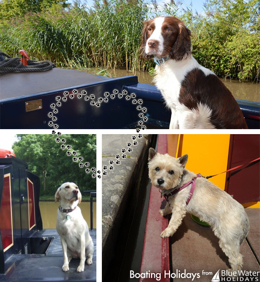 HireBoats's tweet photo. 🐾 The Paw-Fect #Holiday 🐾

Did you know that your #canine #companion can join you on a #canal #boat holiday? 🐕

Explore the #waterways together 👉 https://t.co/ayLz3aPqru https://t.co/Jtf91FhpoR