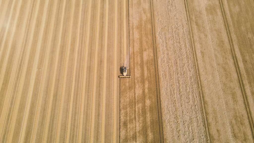 Maxime Monnin tweet media