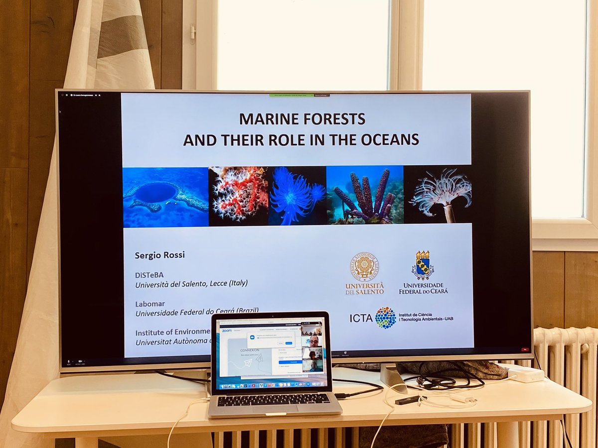 laetitiahedouin's tweet photo. Launching DEEPLIFE meeting with @UnderThePole on #marine animal forests with Dr Rossi! @INEE_CNRS, @criobe_pf ,#LECOB https://t.co/KakjSeHGN1