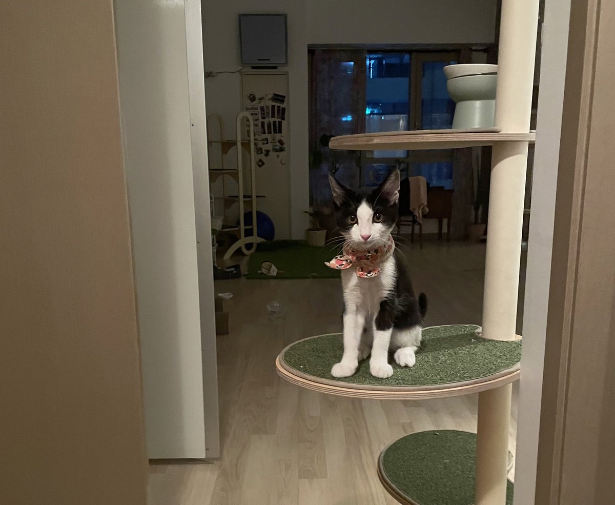 퇴근 했는데 격리시킨 애가 마중나와서 기절할뻔