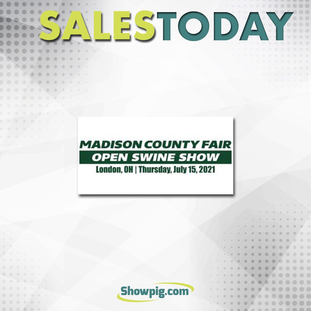 Showpig.com tweet media